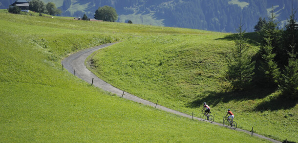     Cycling in the Bregenzerwald 